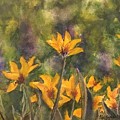 Flowers in the Field