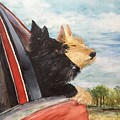 Kiltie and Maggie Take a Ride