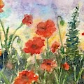 Poppy Garden