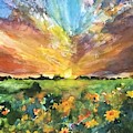 Sunrise of Hope